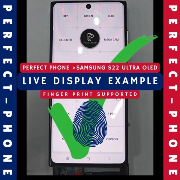 Samsung-S22-Ultra-OLED-LCD-With-Frame-1