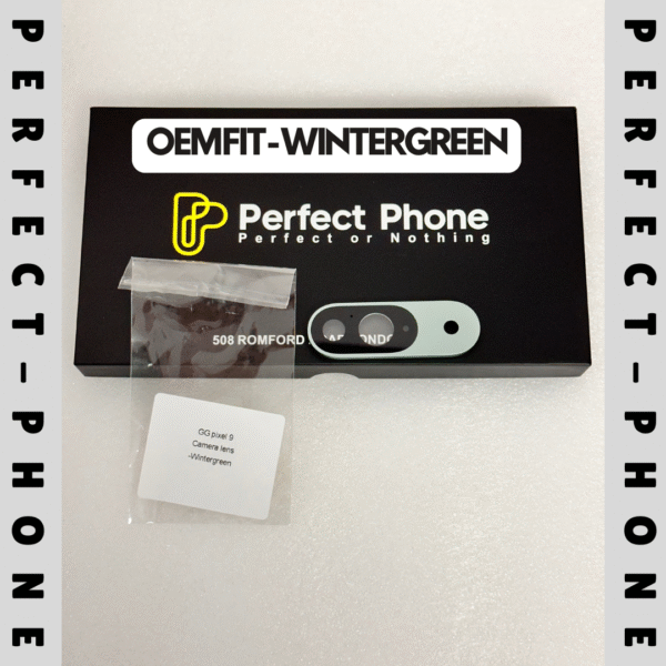 PIXEL 9 CAMERA LENS - WINTER GREEN-1